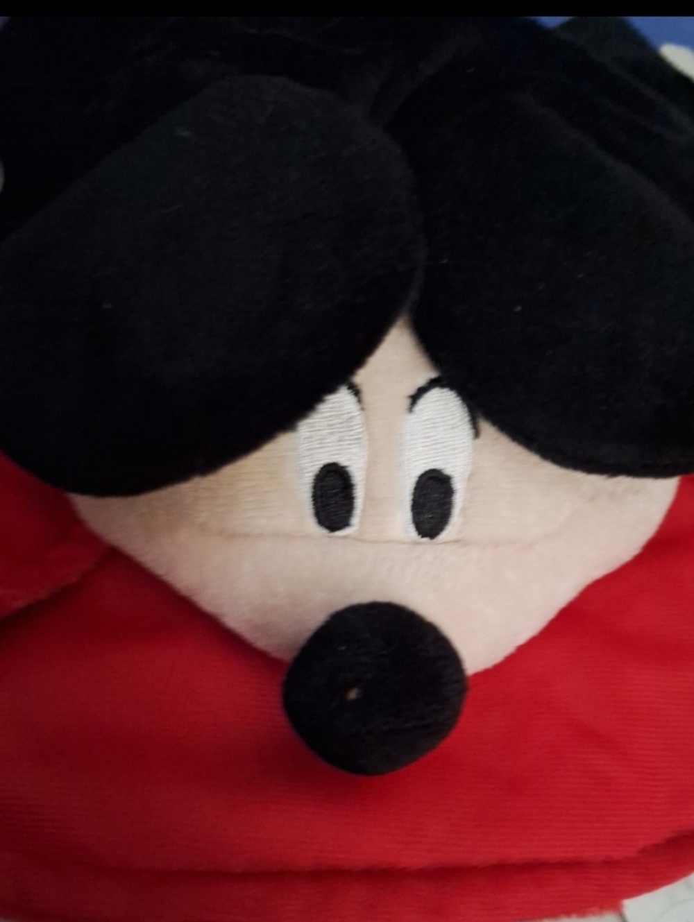 Dog Mickey Mouse Costume